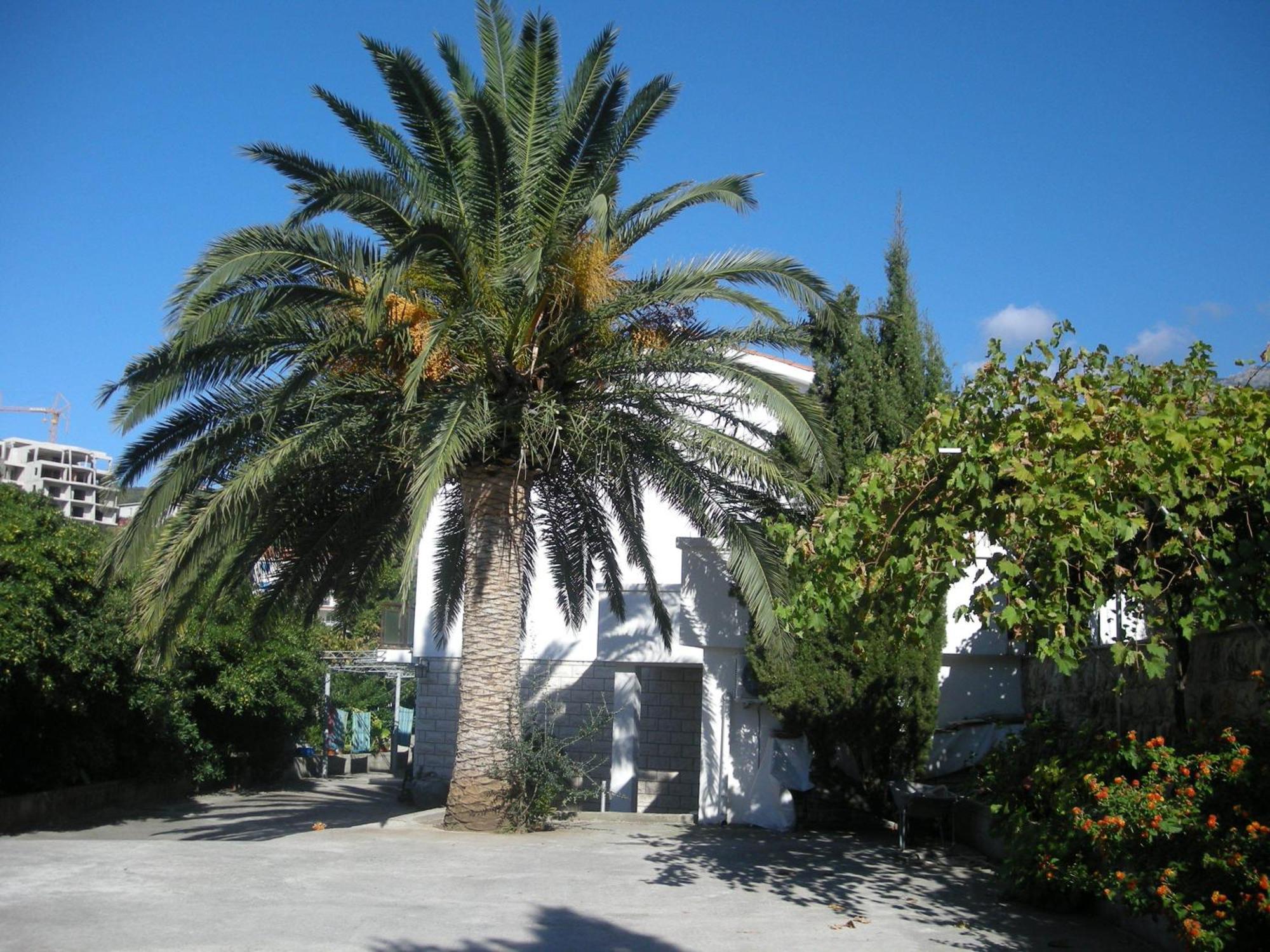 Apartments Becic Budva Exteriér fotografie